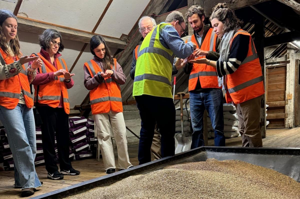 Brewery Tour, Palmers