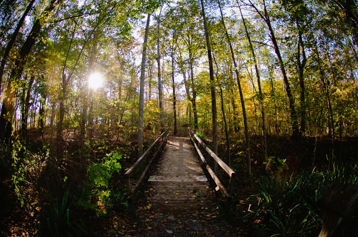 Fall Madison County Nature Trail Green Mountain