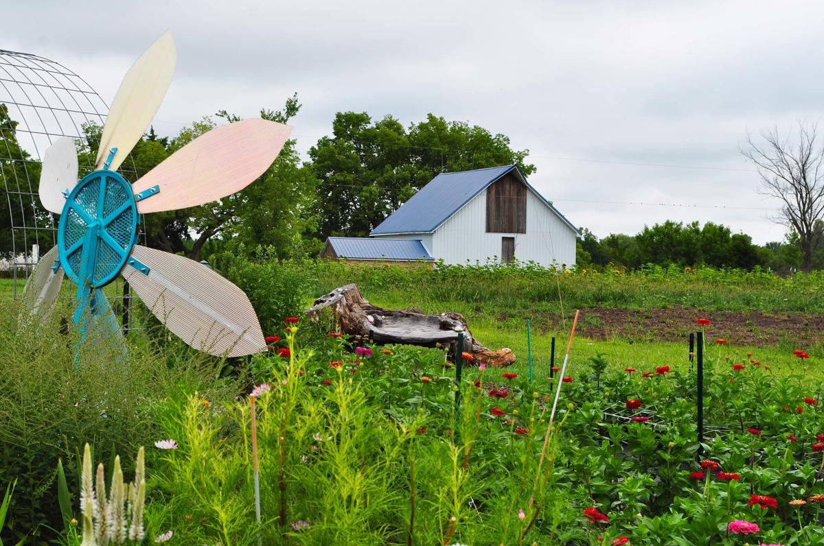 Close-up of flowers at Compass Prairie Art Farm in Eudora, KS