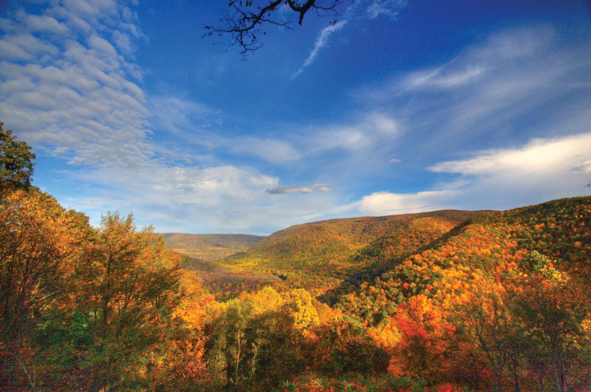 Baughman Rock Overlook, Ohiopyle State Park