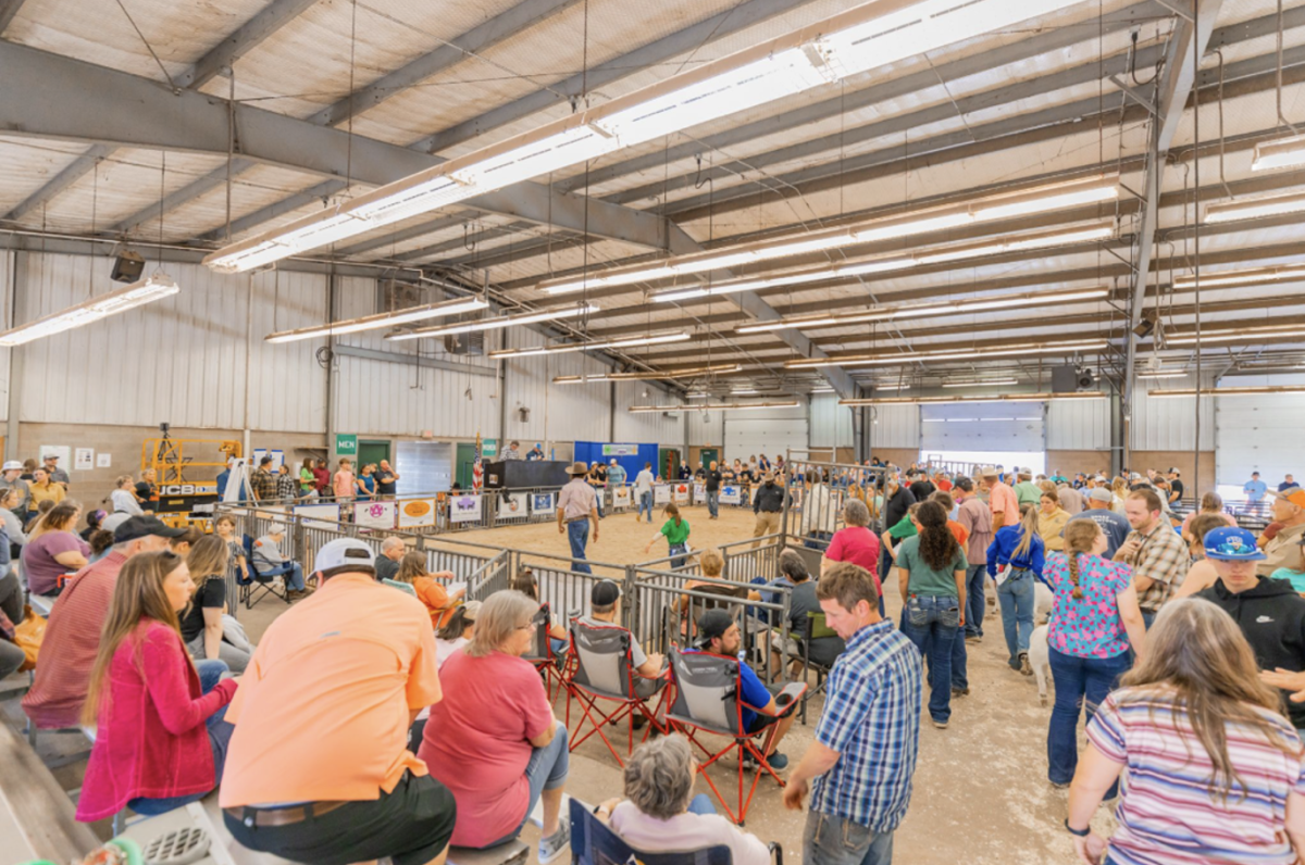 Stock Show