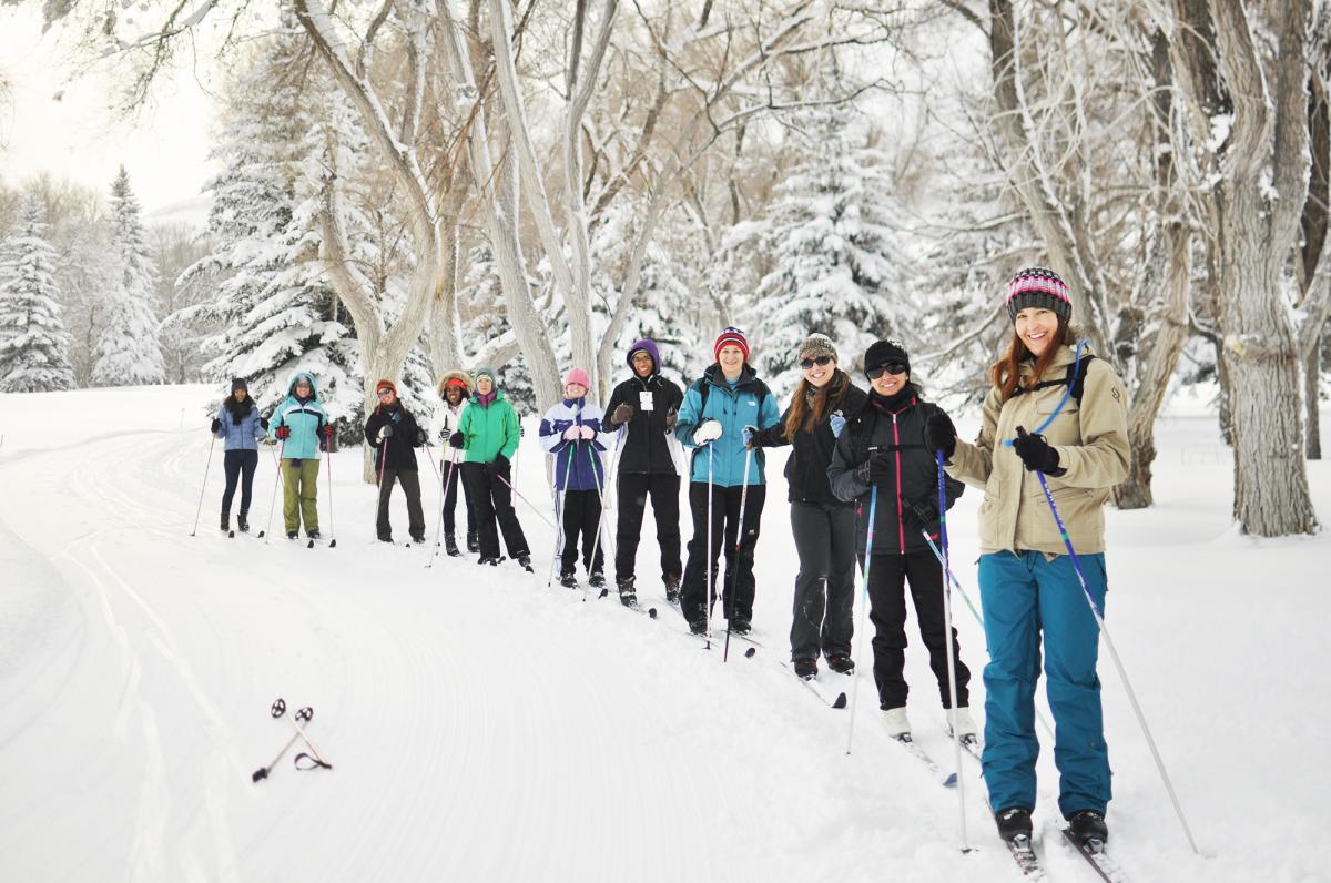 Line of cross-country skiers