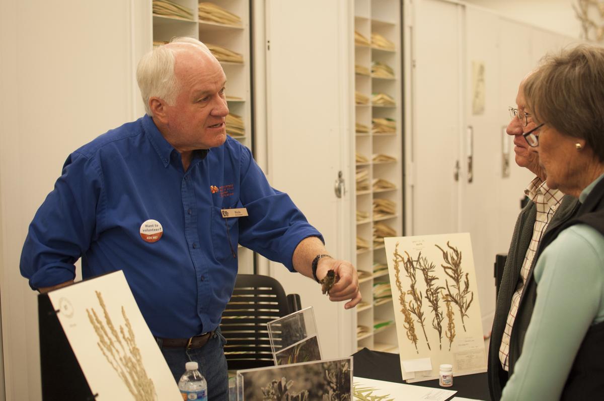 Herbarium or plant display at the Natural History Museum