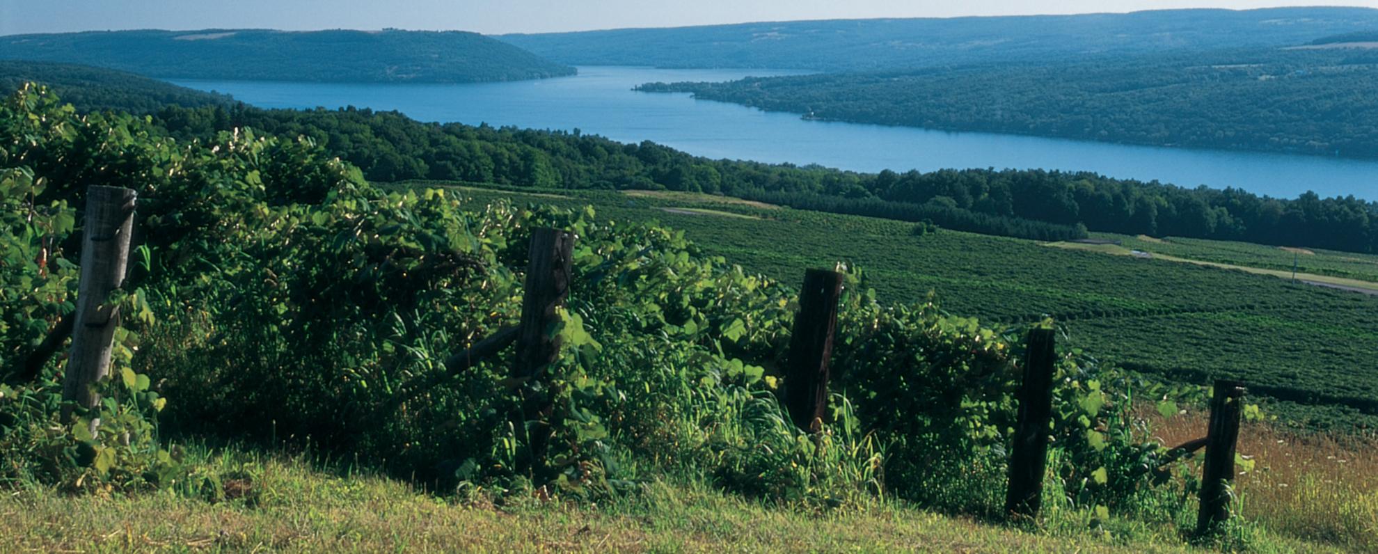 About The Finger Lakes Finger Lakes Of New York
