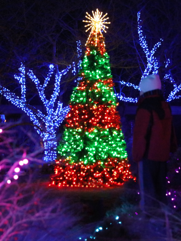 Winter Walk of Lights - Light Show in Fairfax County, VA