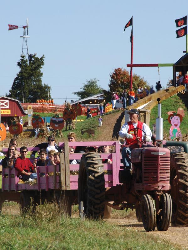 Cox Farms Fall Festival
