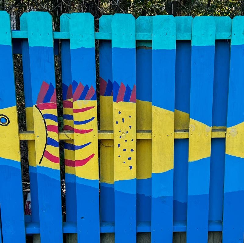 Painted Fence in Little River