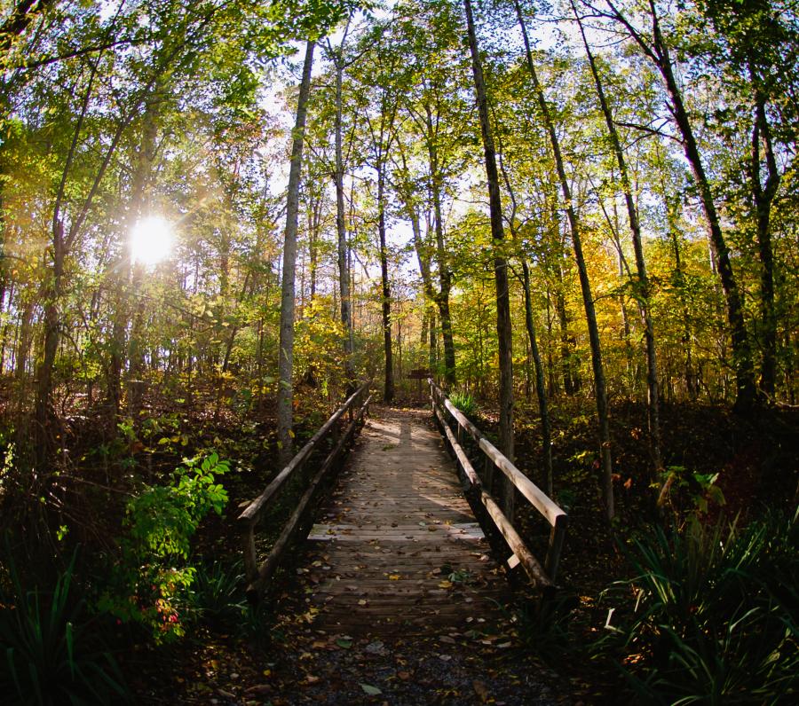 Fall Madison County Nature Trail Green Mountain