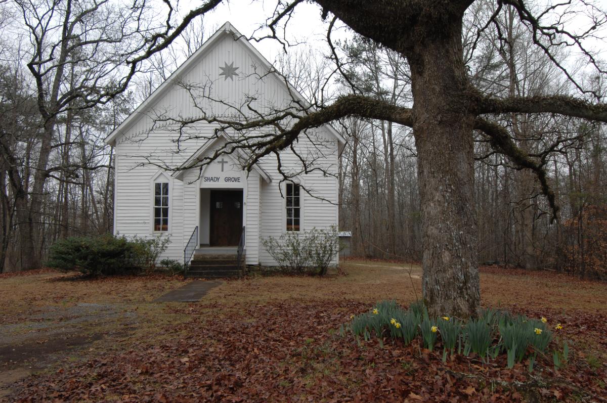 ShadyGrove_Logan.JPG