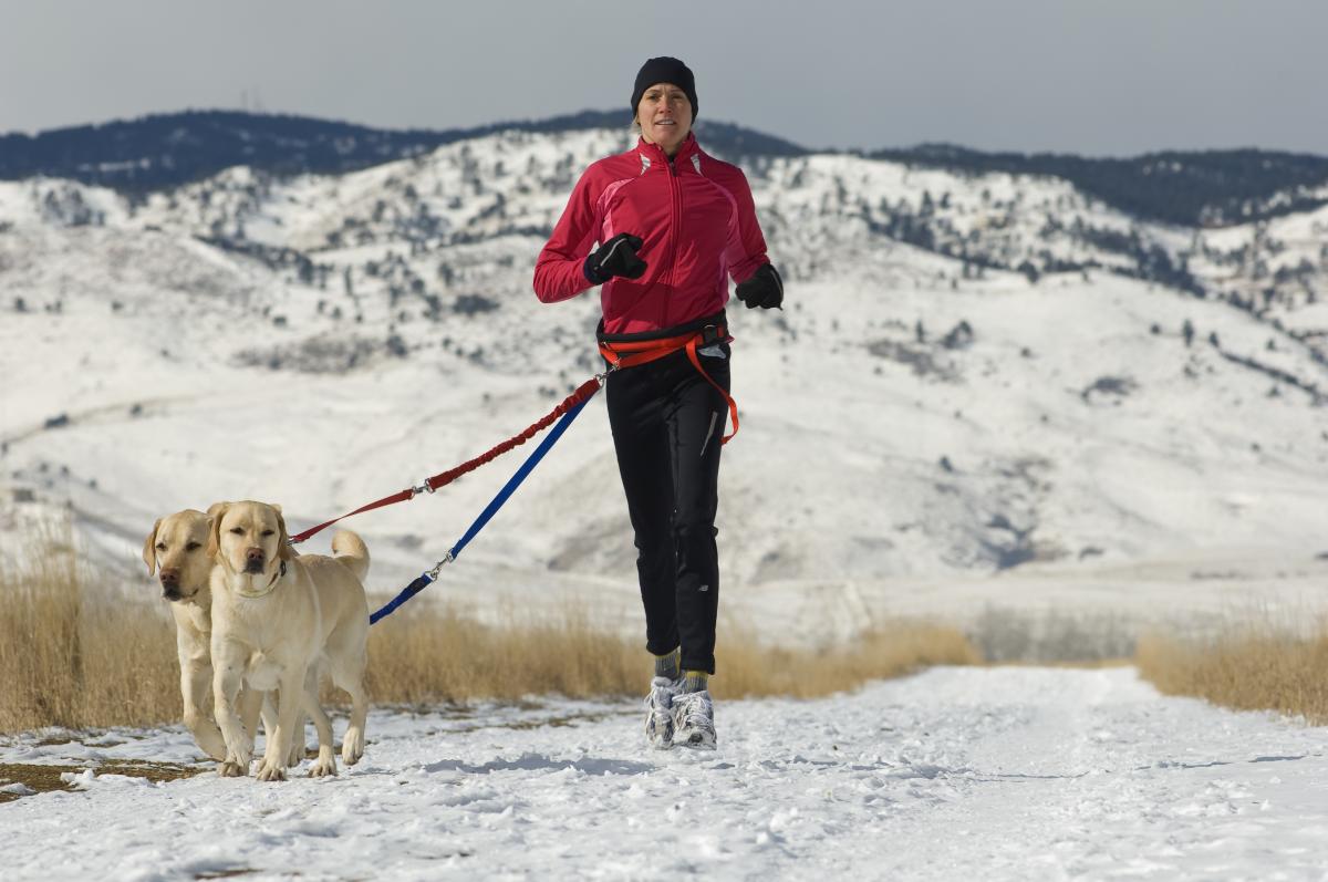 Runner with dogs