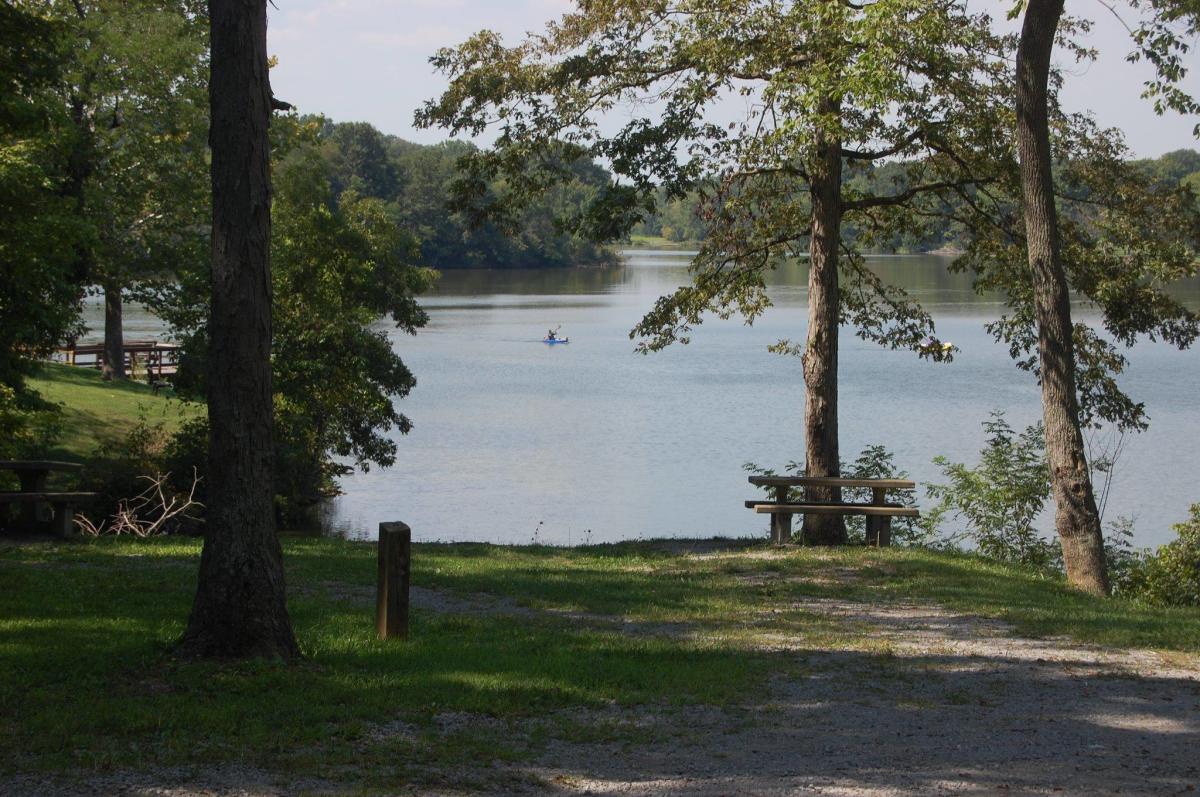 A person in a boat fishing out on A.J. Jolly Park Lake with trees surrounding