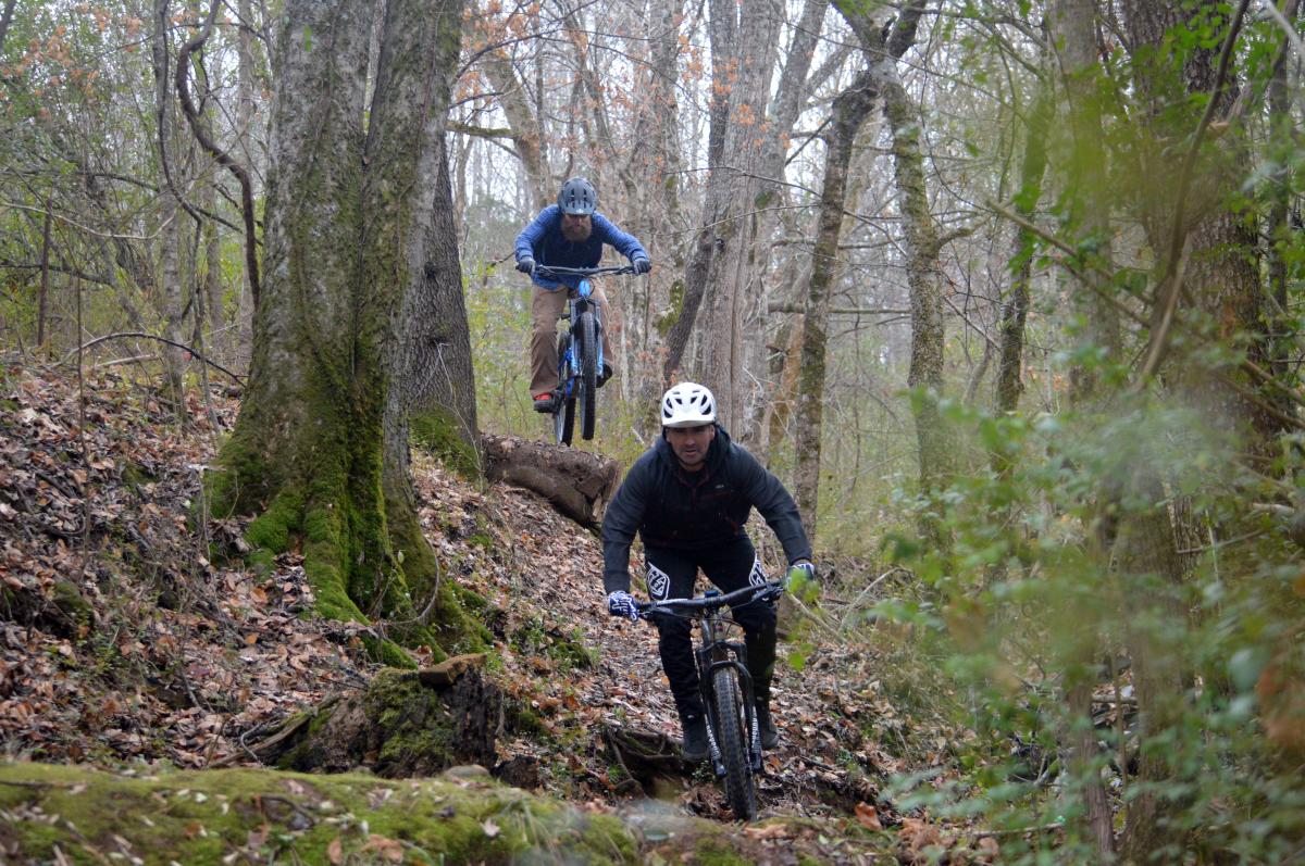 two bikers on a wooded trail