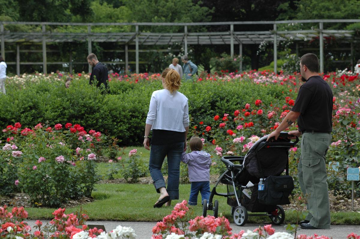 The Columbus Park of Roses in Clintonville