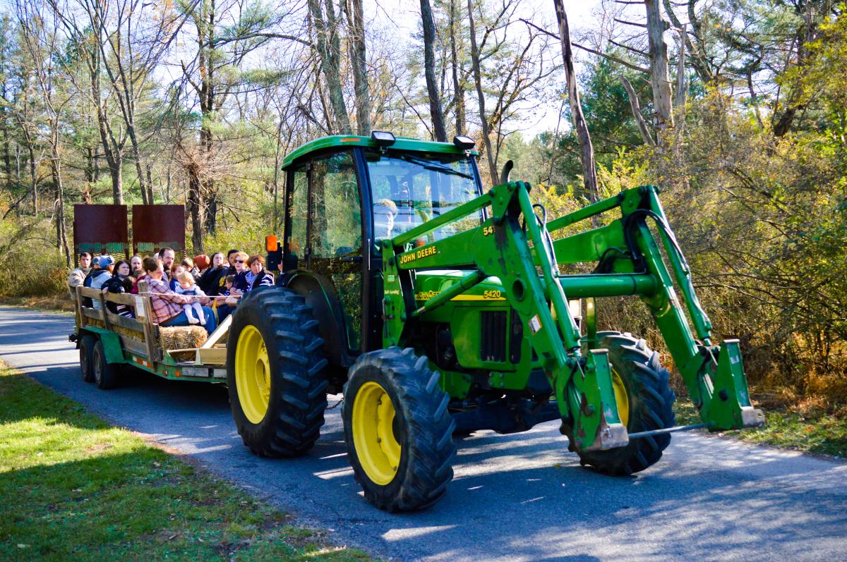 Tractor Ride At The Fall Furnace Festival In The Cumberland Valley