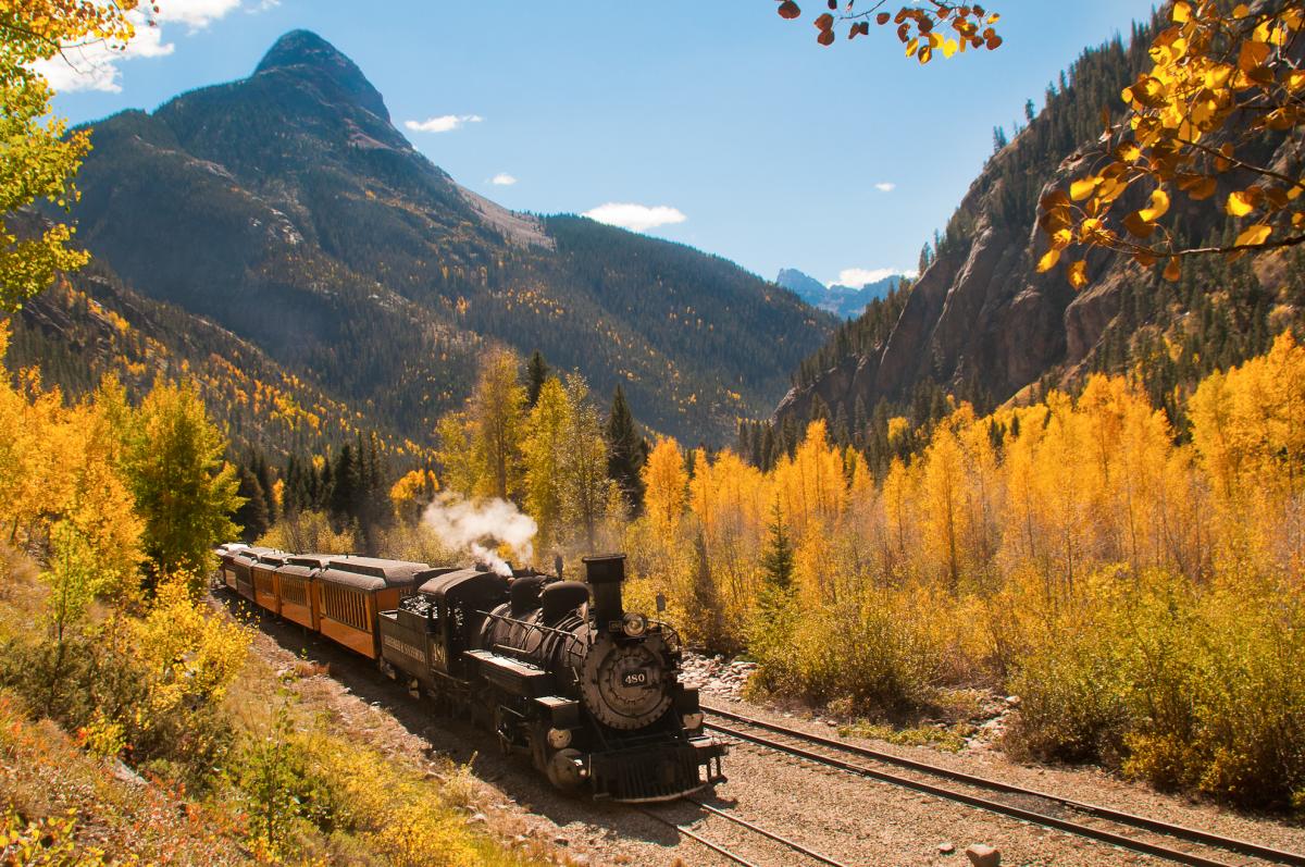 Train with Fall colors