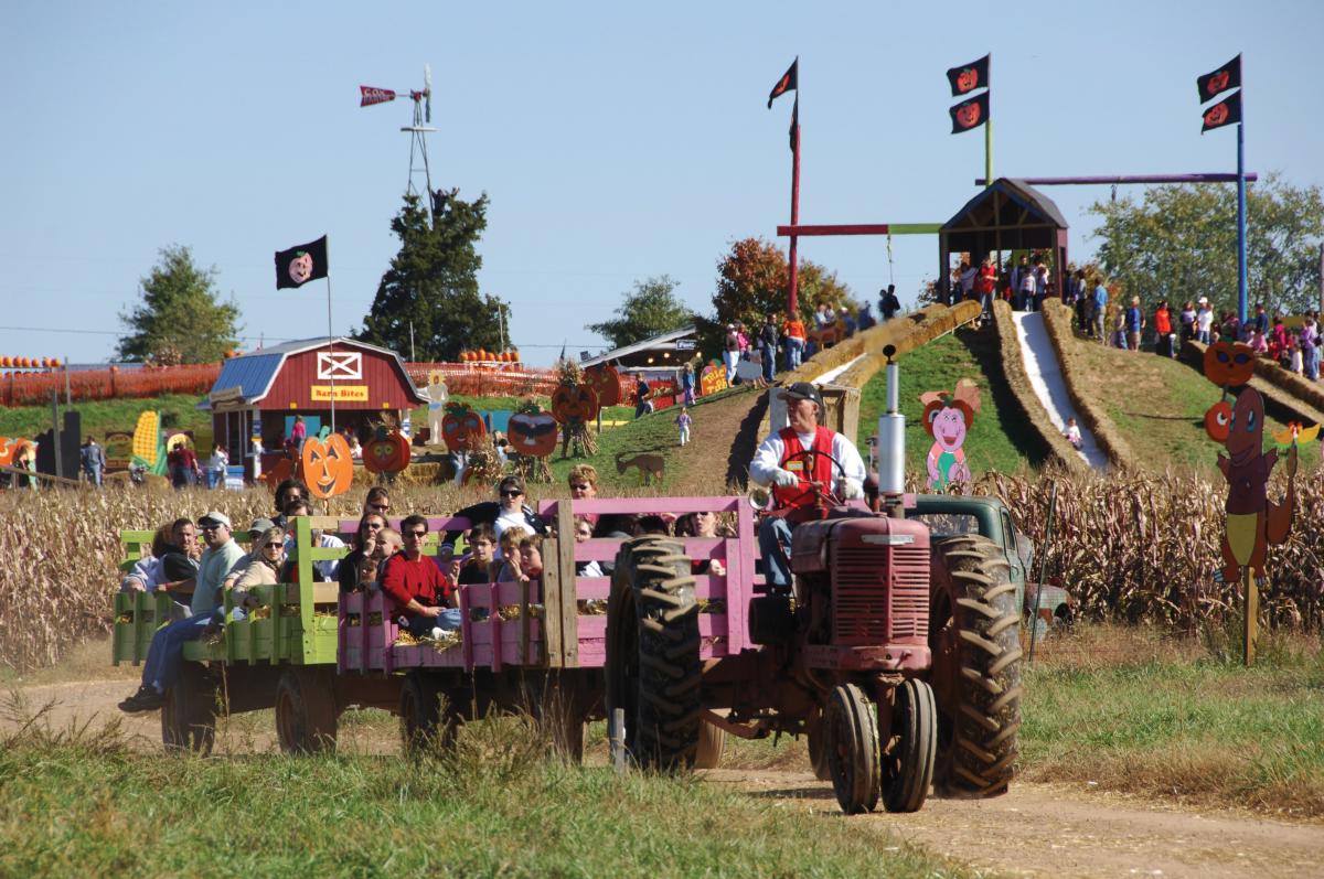 Cox Farms Fall Festival