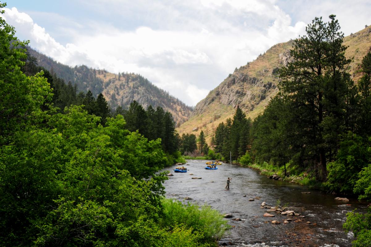 Whitewater Rafting Poudre Canyon