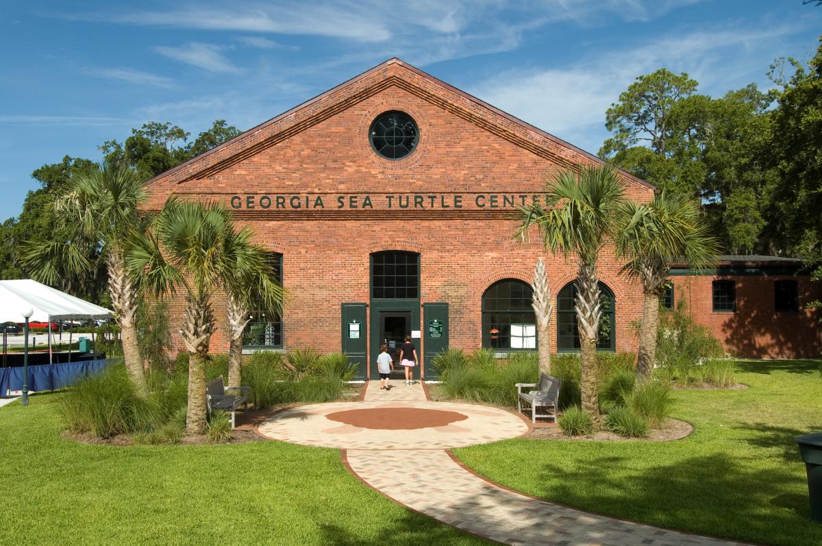 The Georgia Sea Turtle Center on Jekyll Island serves as a hospital and rehabilitation center for turtles on the Georgia Coast
