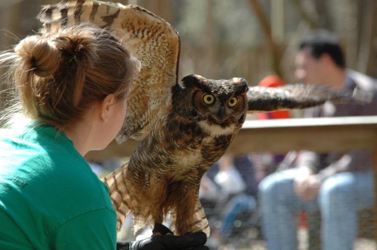 Woman holding an owl at the Carolina Raptor Center