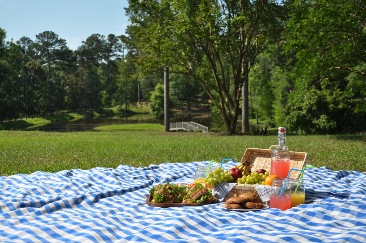 Picnic by Lake