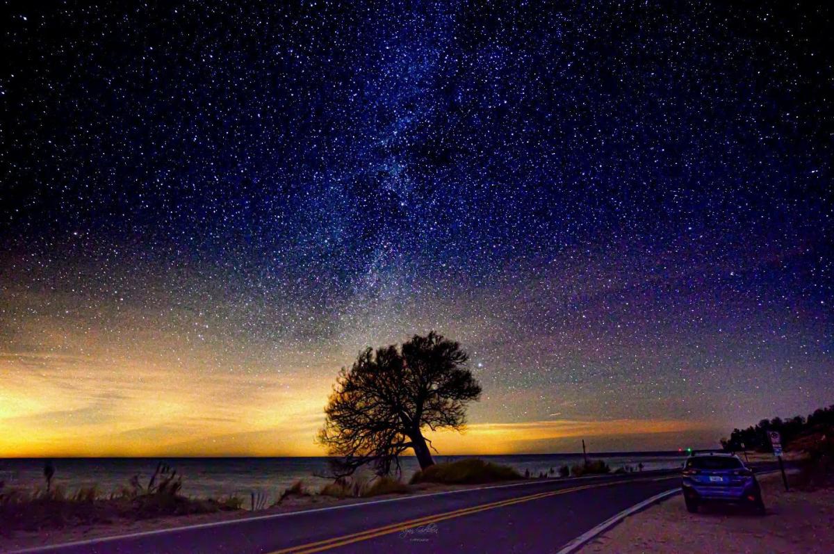 Starry night sky over a coastal road with a prominent tree silhouette and a parked car on the side, near the Lake Michigan.