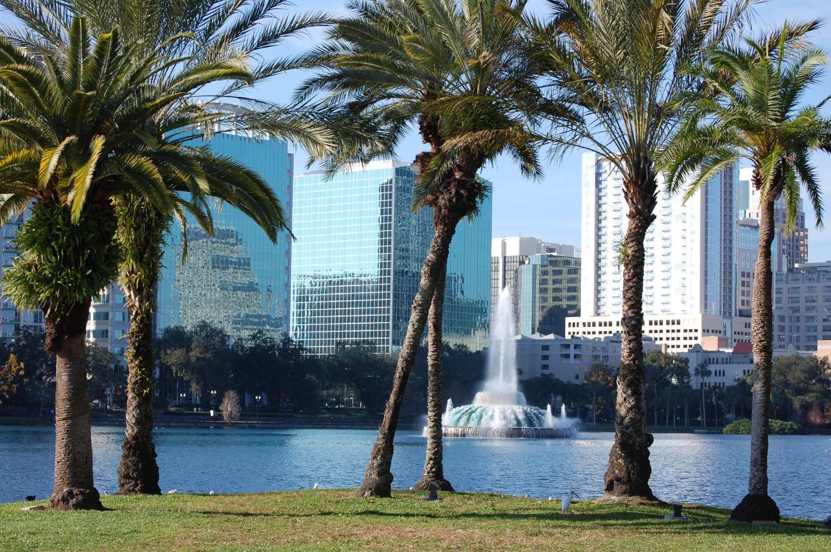 Gray Line Orlando sightseeing tours