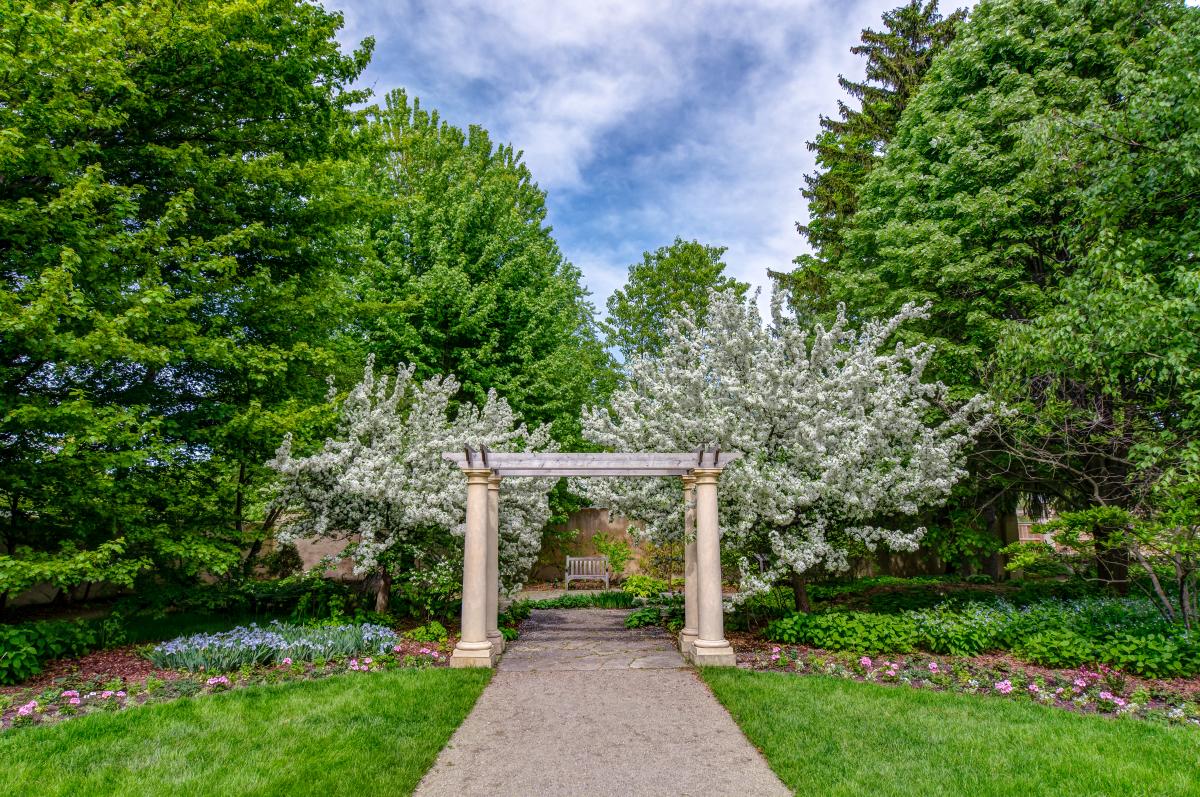 Paine Garden Pergola