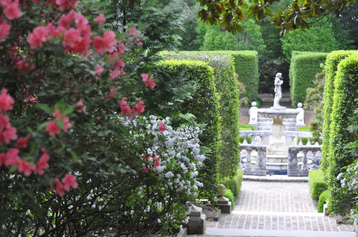 elizabethan gardens - spring