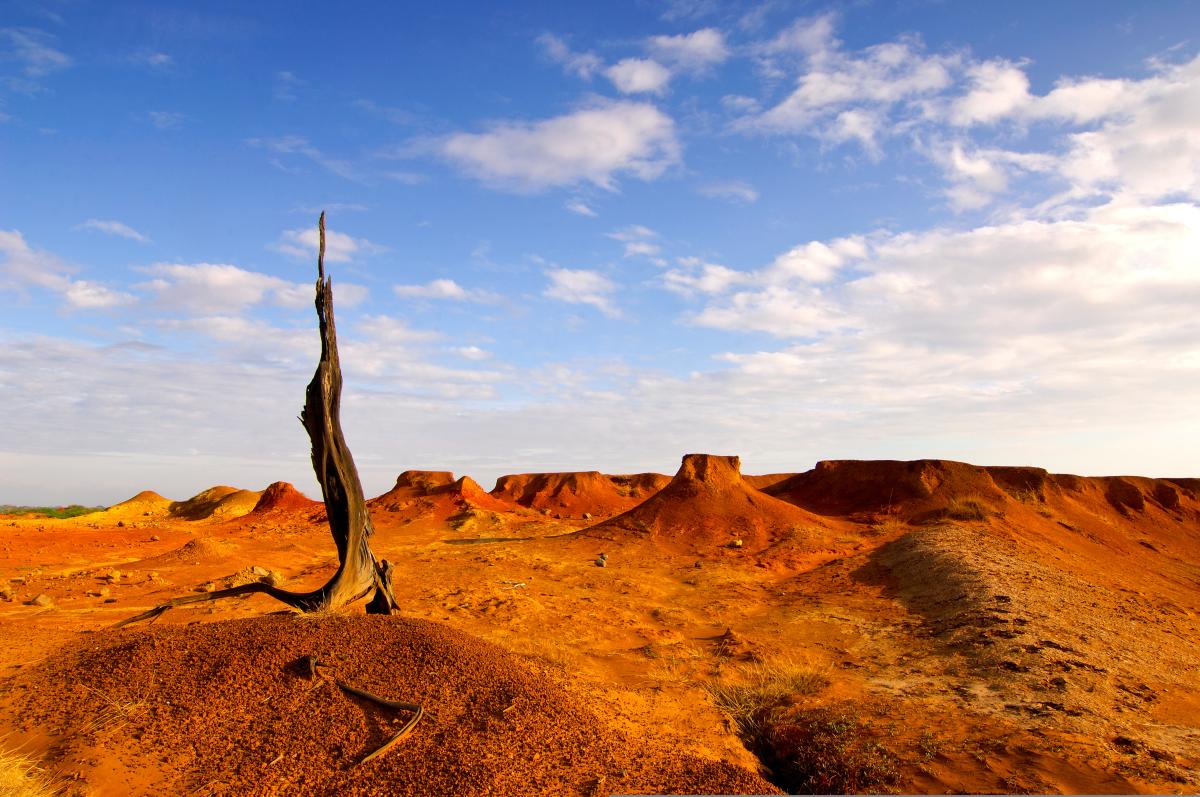 A landscape in Sarigua National Park, Panama, featuring reddish-brown, eroded rock formations, sparse vegetation, and a single, tall, dead tree trunk in the foreground.