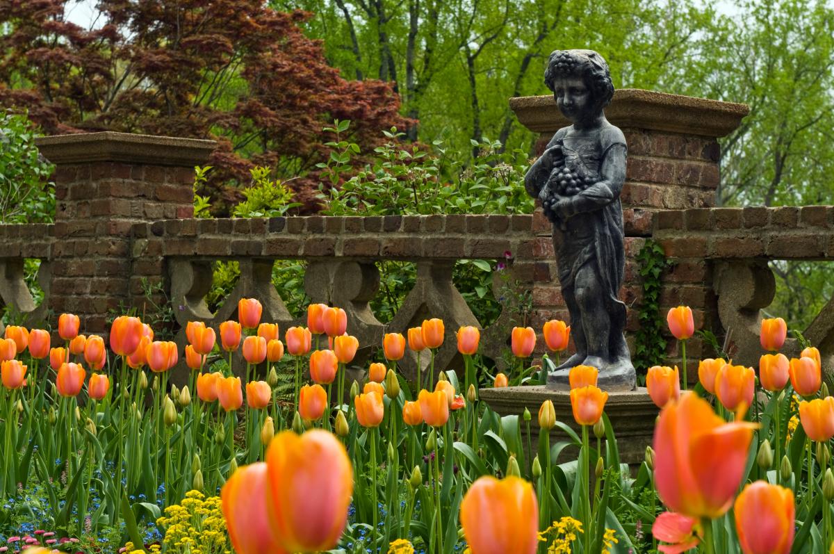 garden