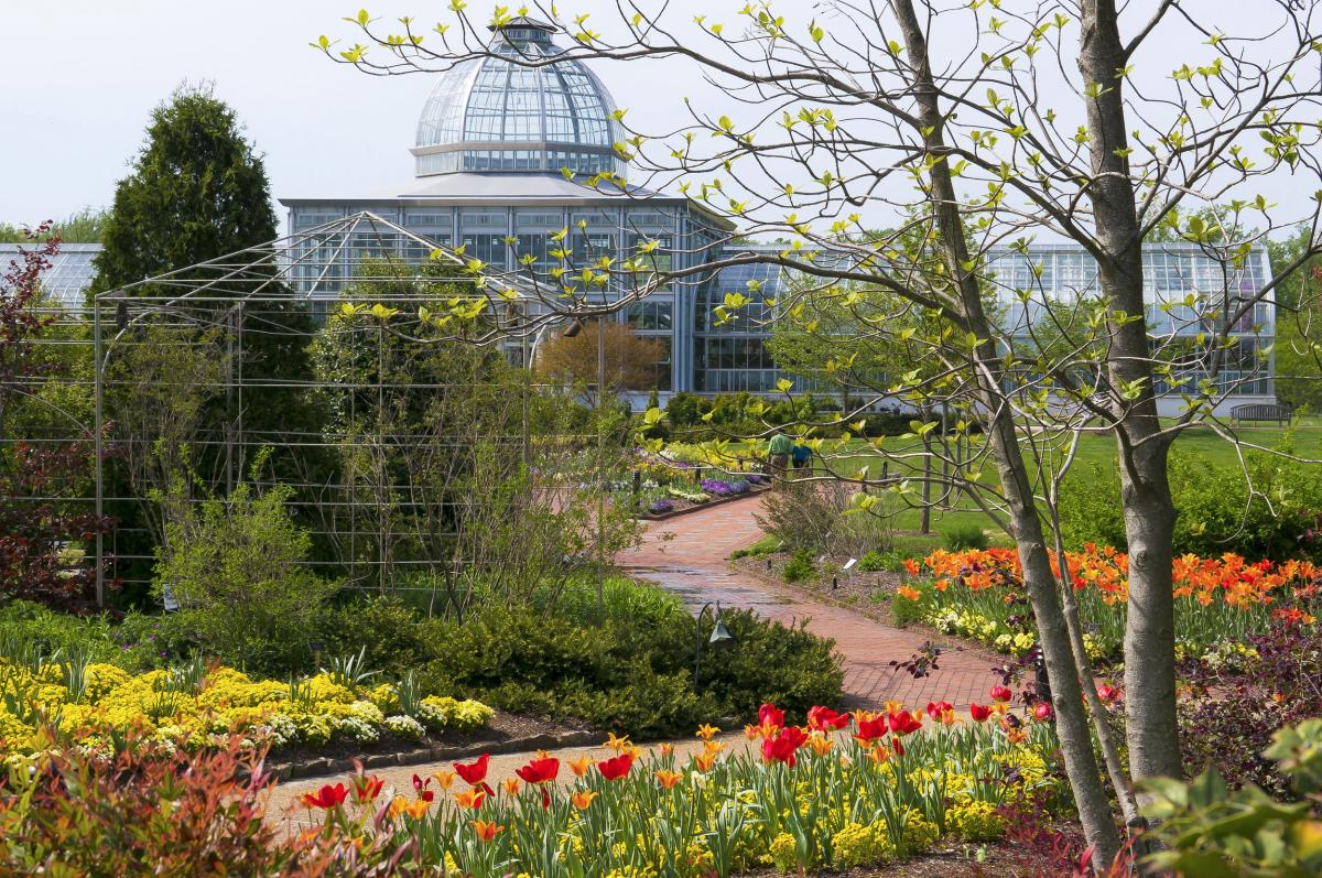 Lewis Ginter for Garden Trail Page