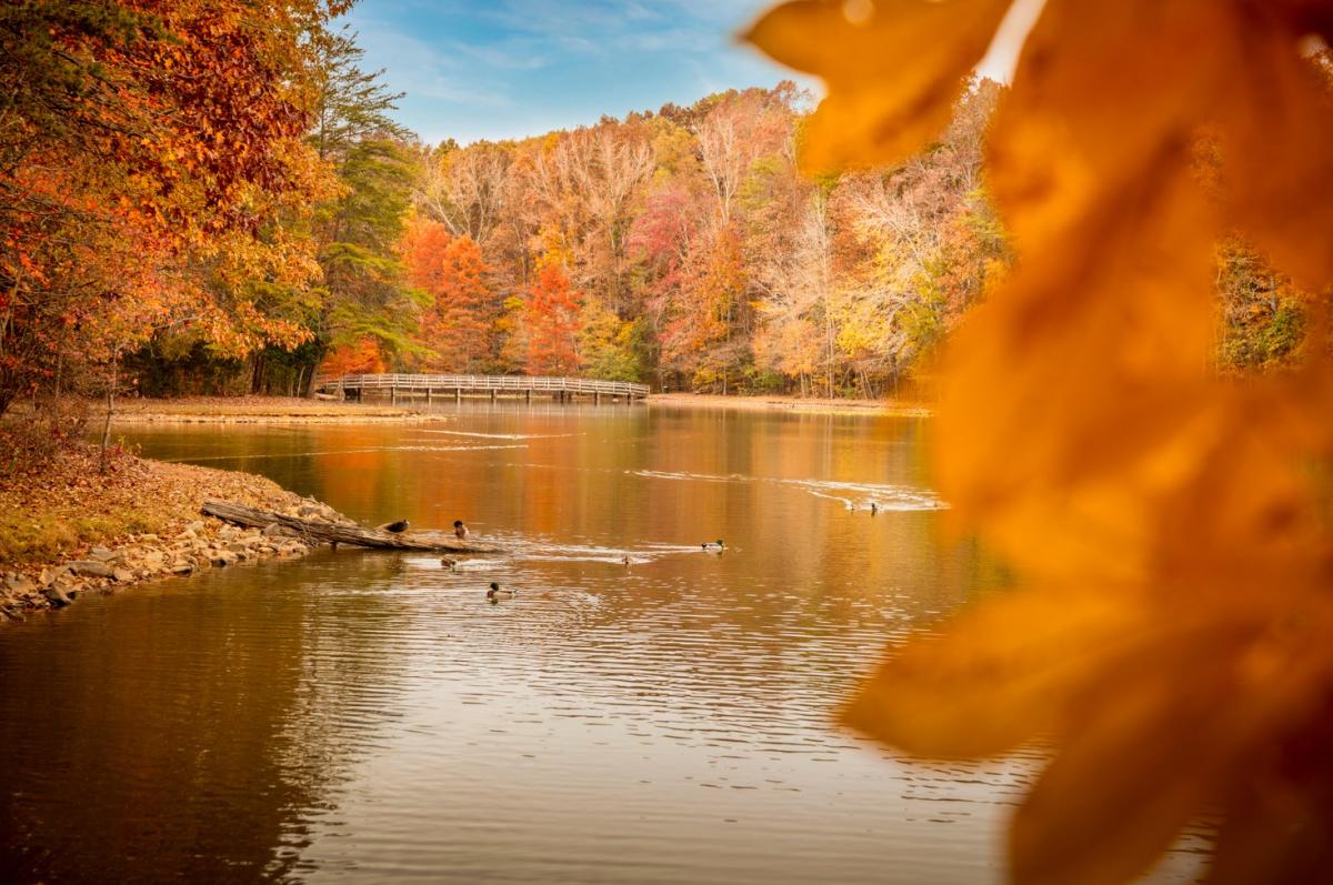 Lake Corriher during Fall