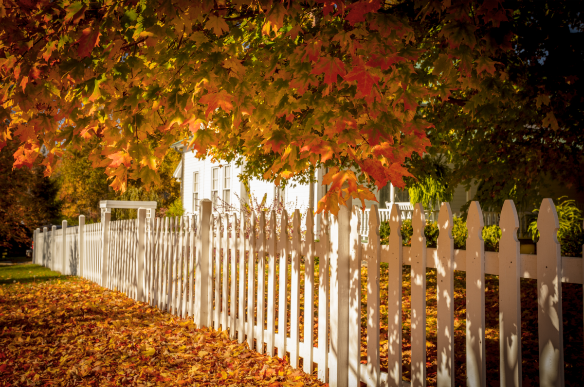 Fall leaves on fenced pathway