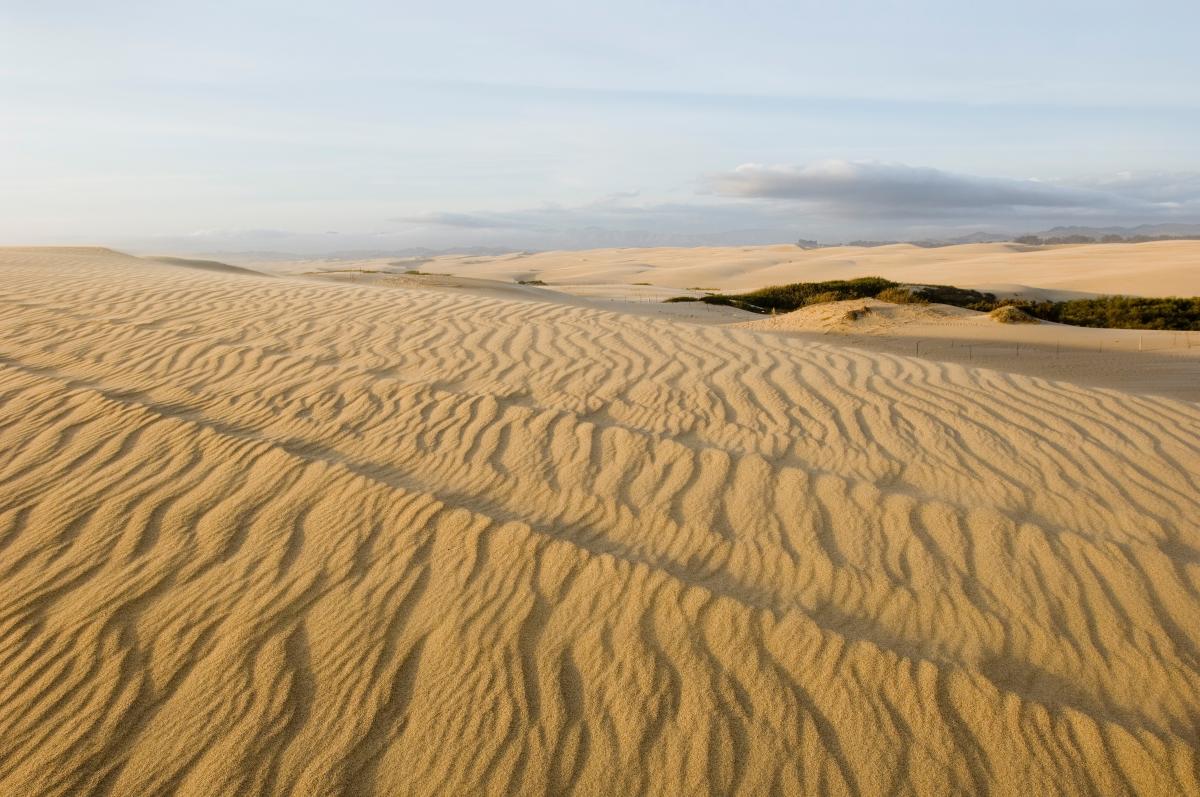 Oceano Nipomo Sand Dunes Sand in SLO CAL