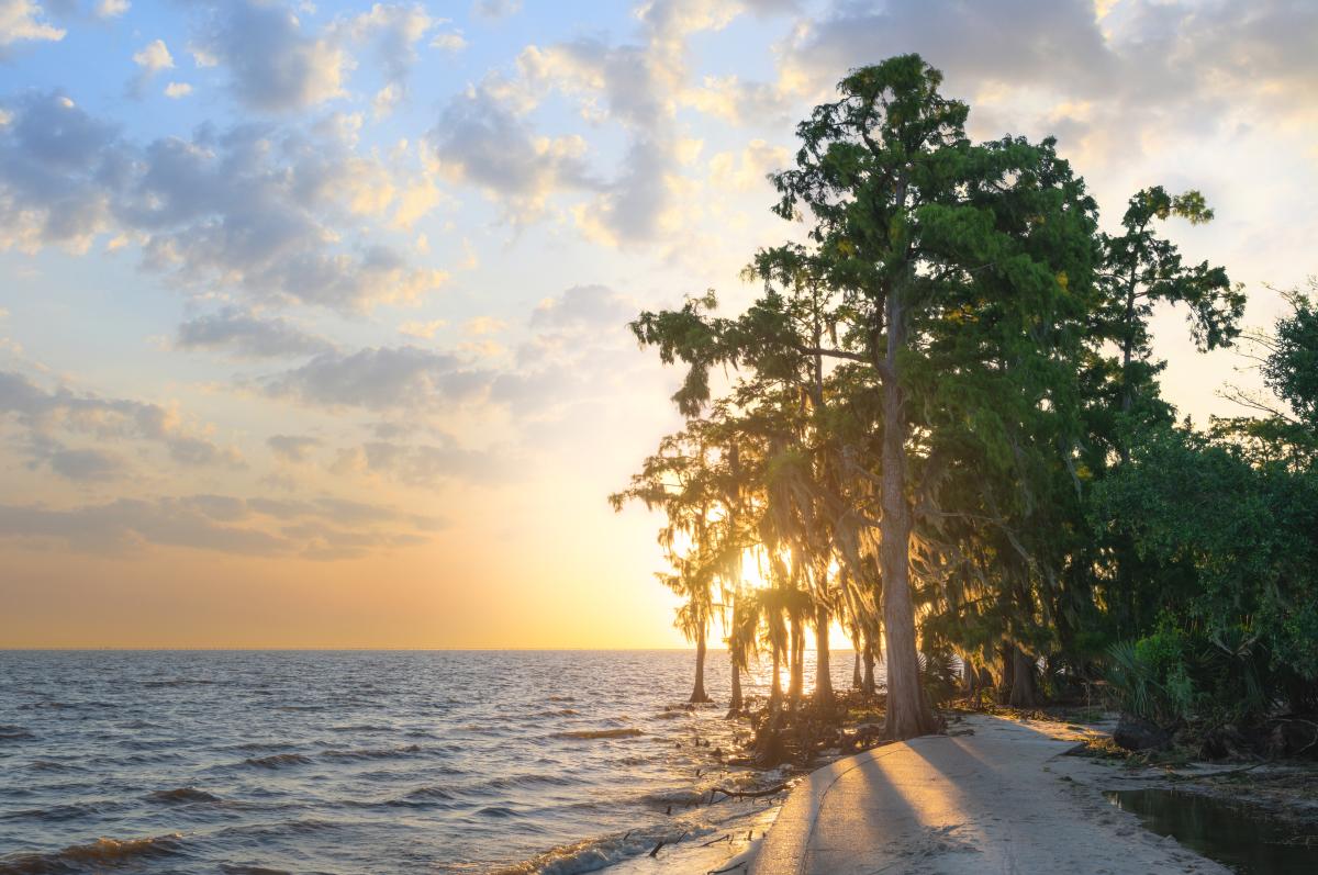 Fontainebleau State Park Sunset