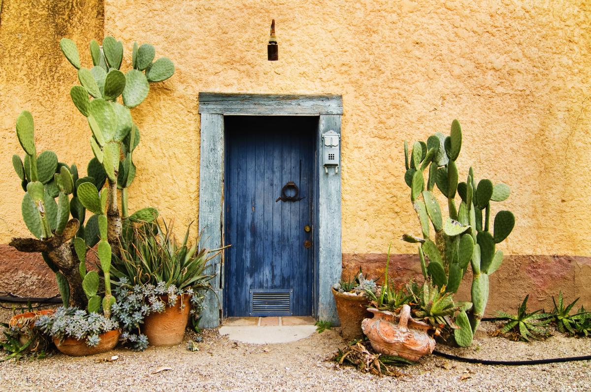 Exterior of a yellow, old, spanish, adobe-style home with a blue door and trim and dessert cacti and potted plants