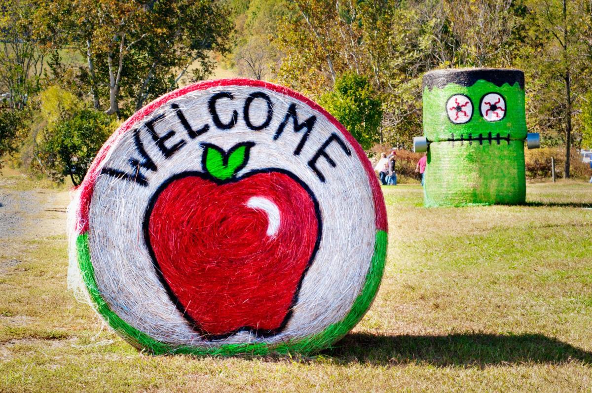 25+ Apple Orchards, Cideries, & Festivals to Visit This Fall