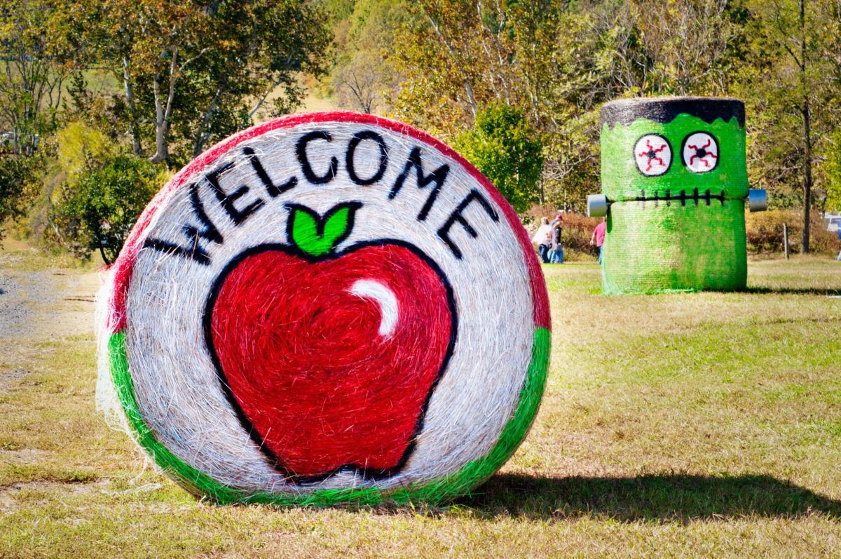 Graves Mountain Apple Harvest Festival