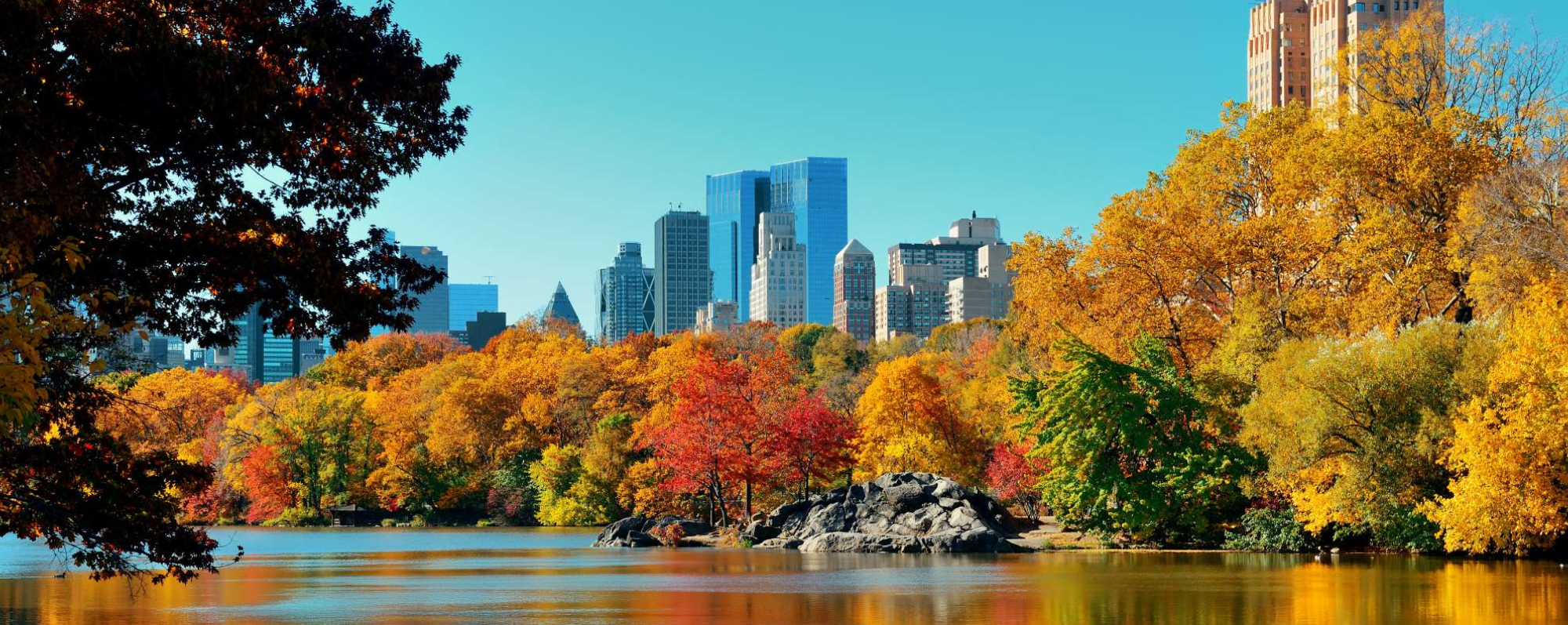 Central Park pond and rock surrounded by fall foliage with skyscrapers in the background