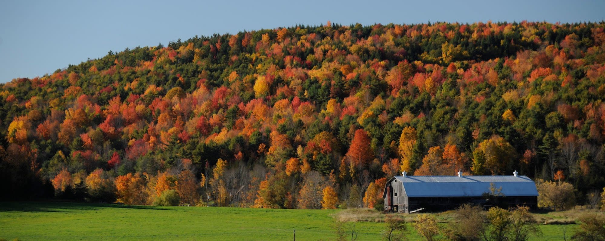 Fall Views Schoharie County along Route 30