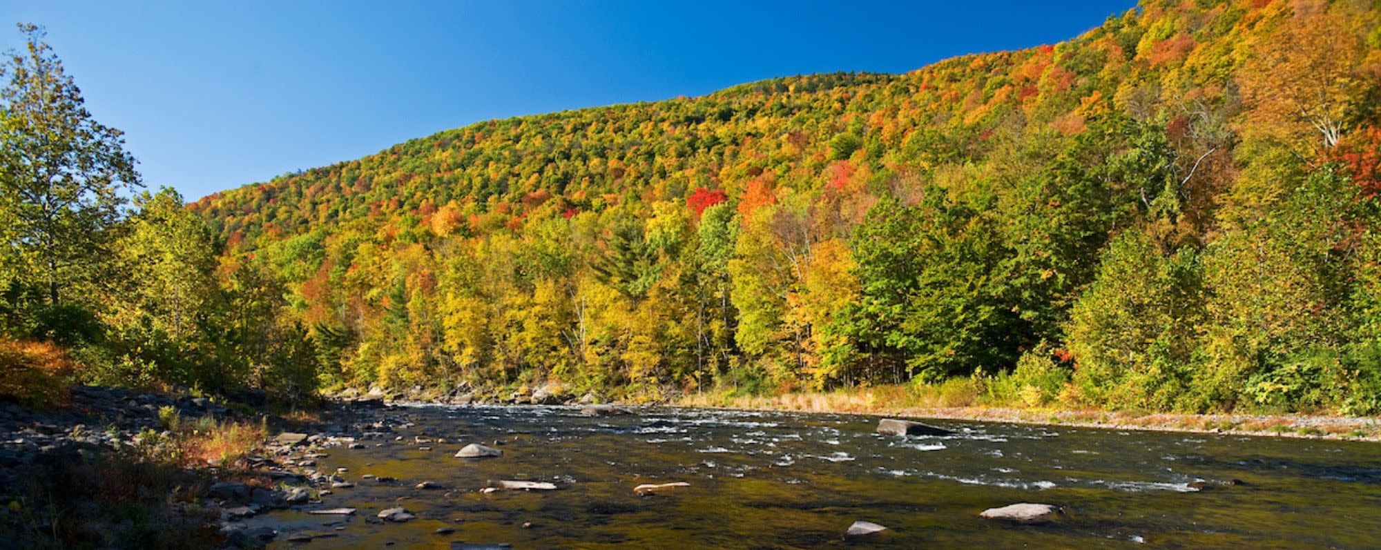 Esopus Creek near Mt. Tremper