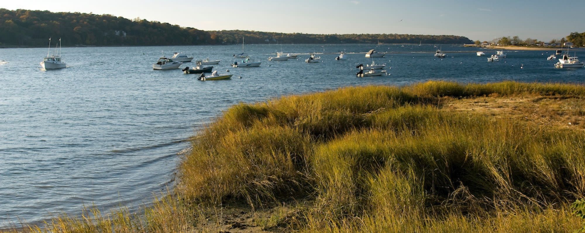 Cold Spring Harbor