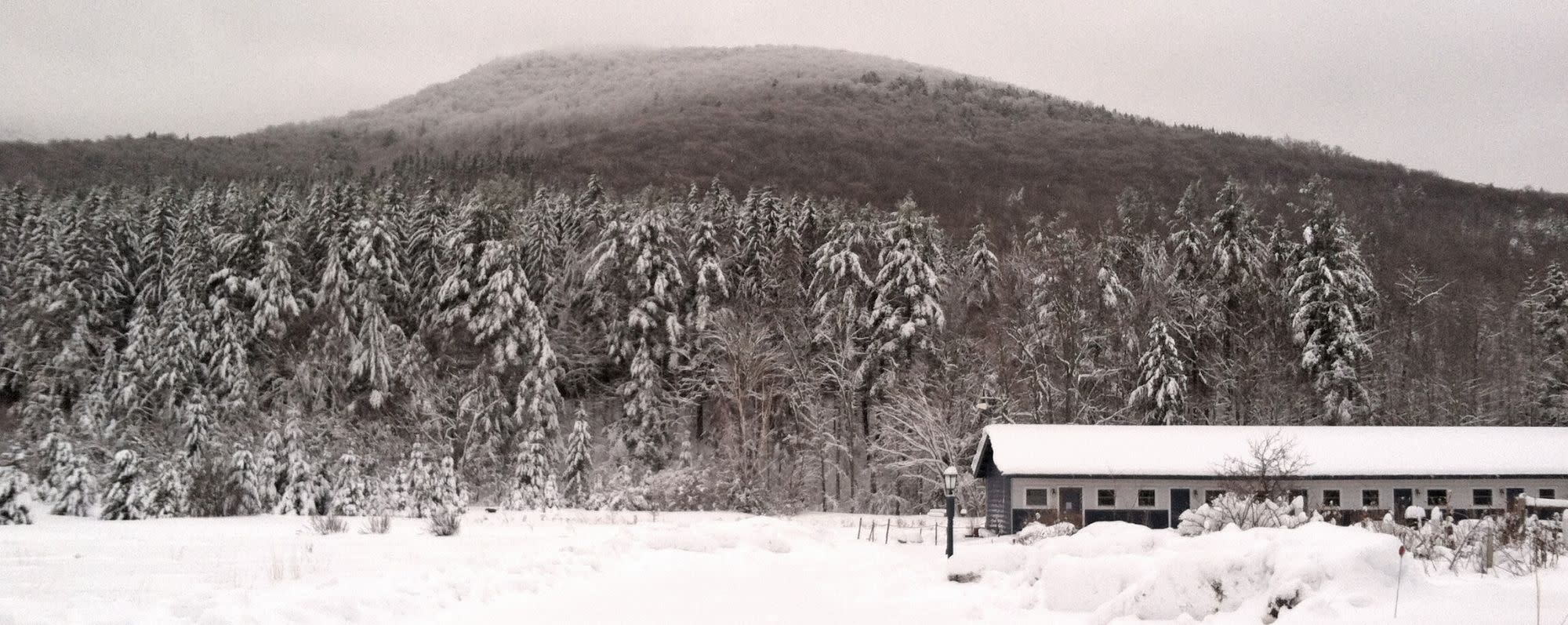 Spruceton Inn in snow - Photo by Casey Scieszka