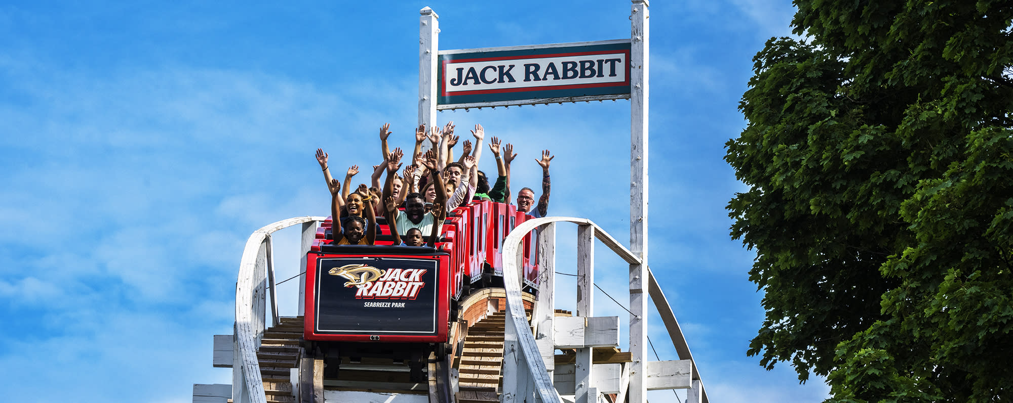 People raise their arms in glee at the first drop on the Jack Rabbit roller coaster at Seabreeze Amusement Park