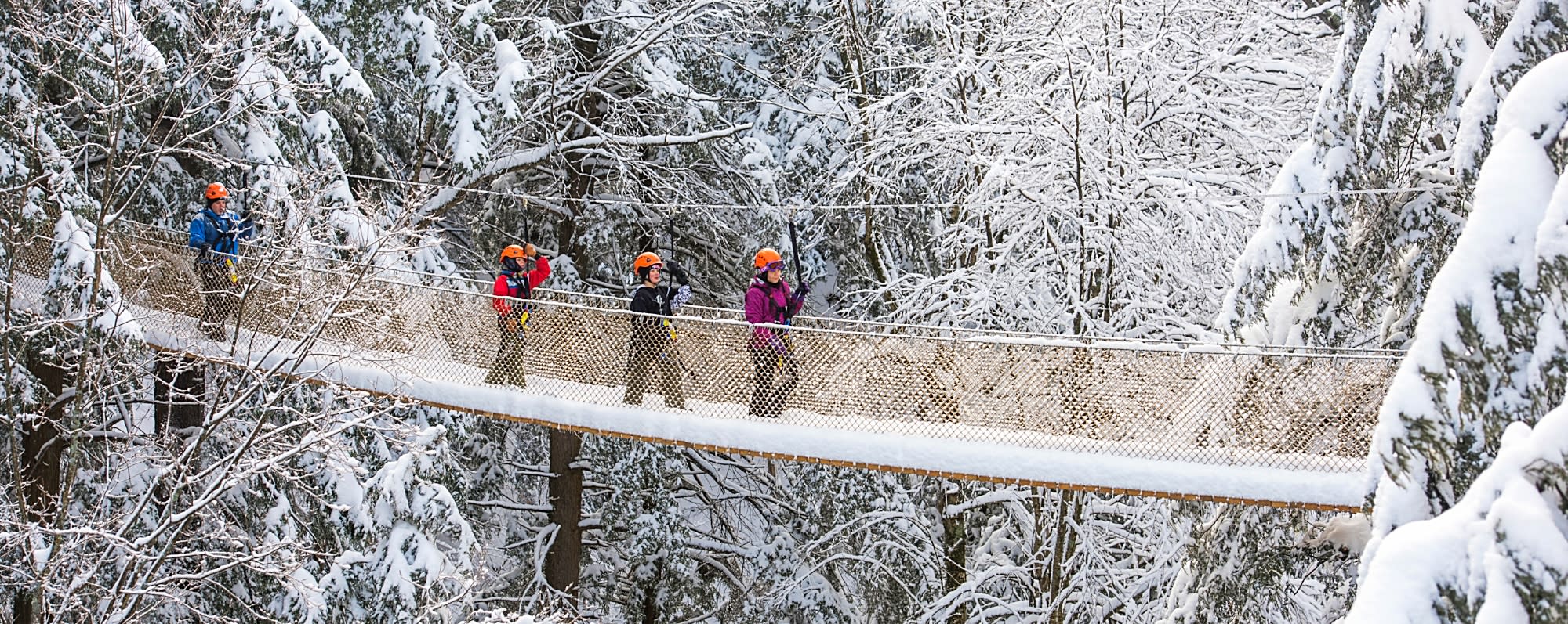 Bristol Mountain Ski Center Aerial Adventure Park and Zip Line Canopy Tours