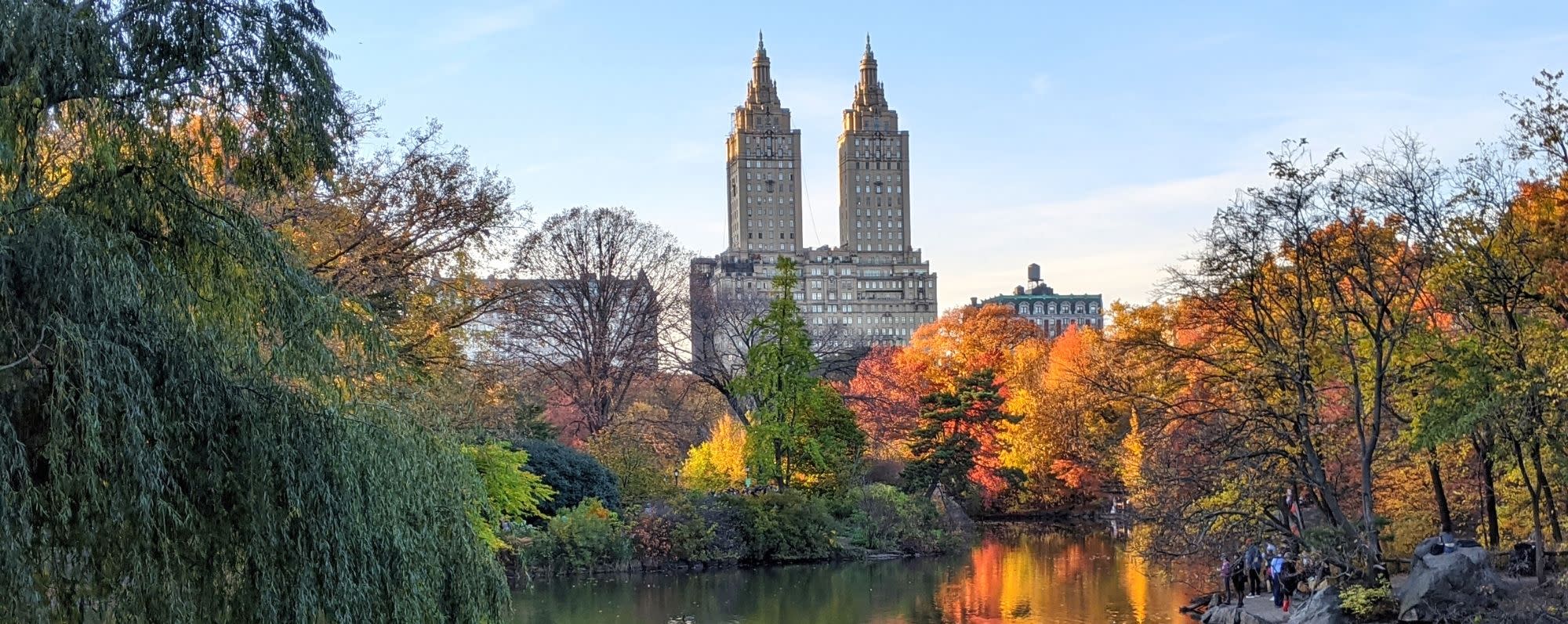 A view of fall foliage and buildings from within Central Park