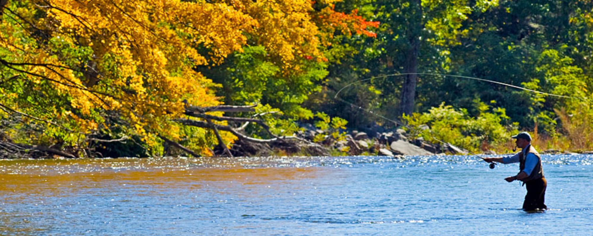fly fishing header