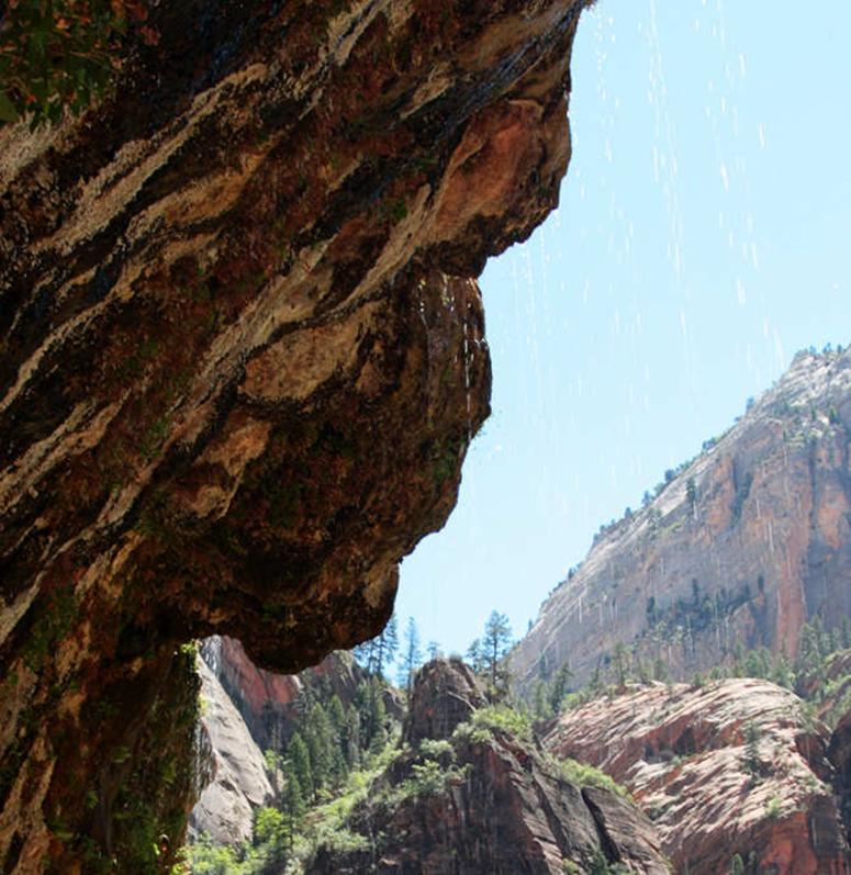 Weeping Rock