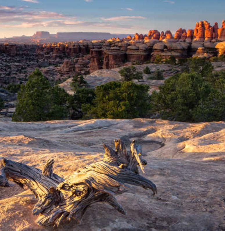 Canyonlands Hotels & Motels