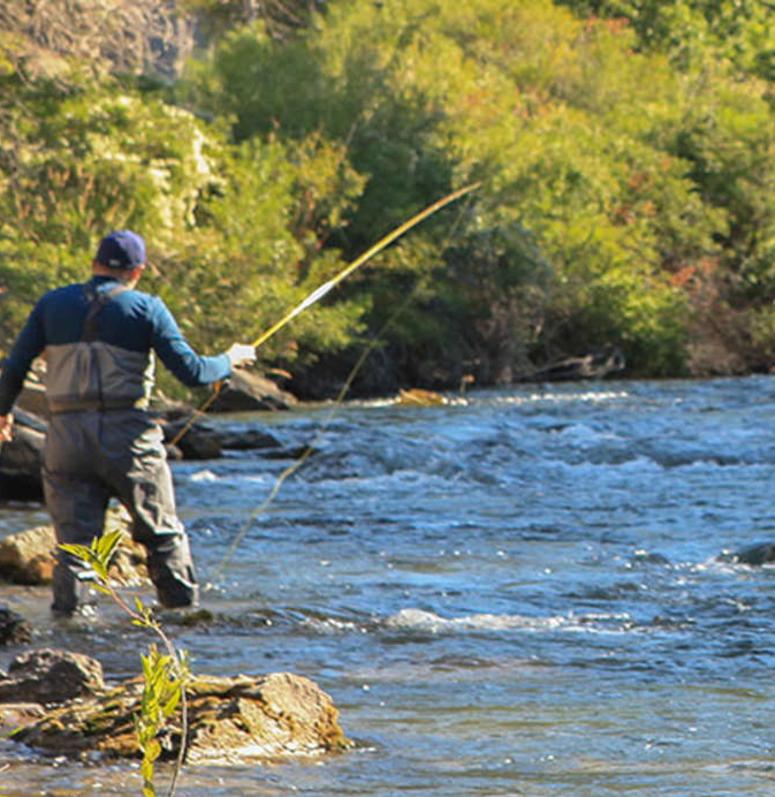 Logan River Fishing